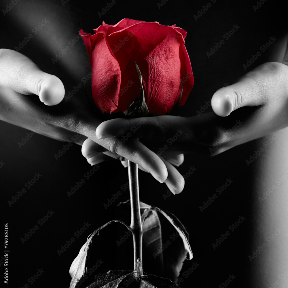 Silhouette of nude woman with red rose isolated on black - obrazy, fototapety, plakaty 