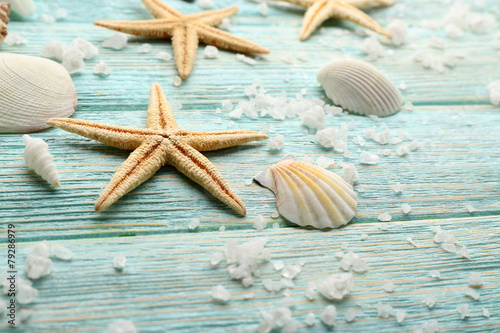 Obraz na plátně Sea stars and shells on wooden background