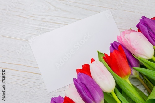 Fototapeta Naklejka Na Ścianę i Meble -  Colorful tulips and white card