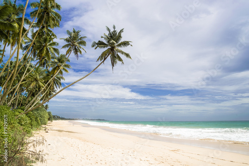 Fototapeta Naklejka Na Ścianę i Meble -  Untouched tropical beach in Sri Lanka