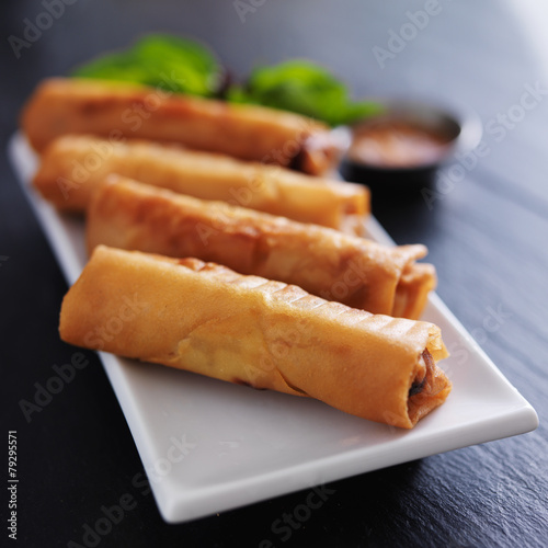 plate with vietnamese spring rolls and garnish photo