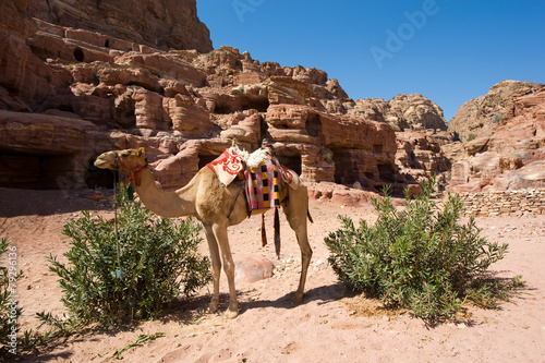 Petra in Jordan © Robert Hoetink