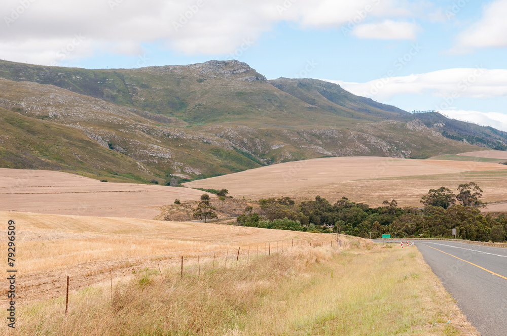 Landscape next to the N2 main road, South Africa Landscape next to the N2 main road, South Africa