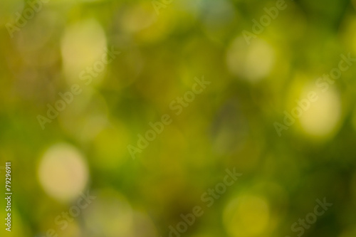 Abstract green natural bokeh background