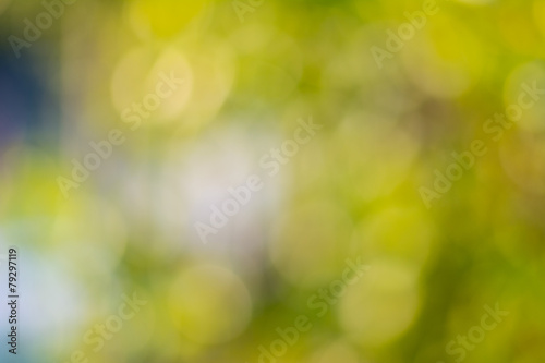 Abstract green natural bokeh background