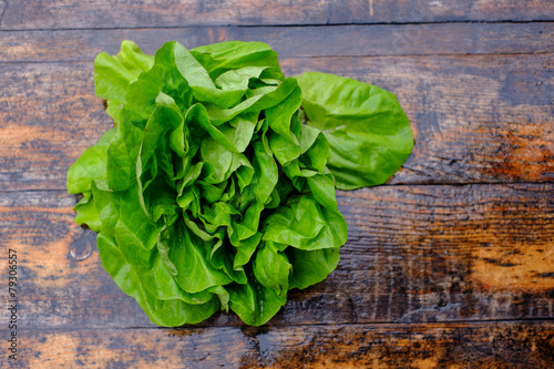 Butter Lettuce