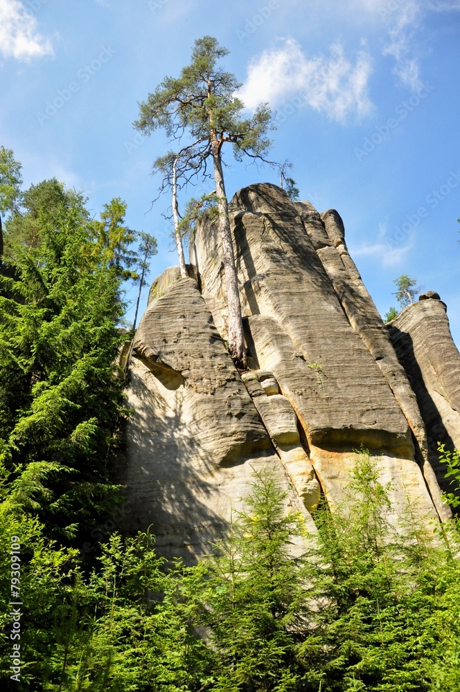 Skalne Miasto, Czechy