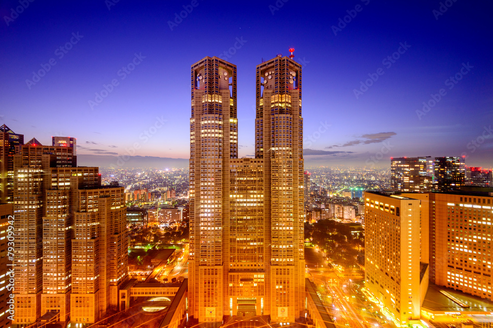 Naklejka premium Metropolitan Government Building