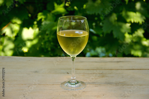 Glass of White Wine with Vineyard in Background