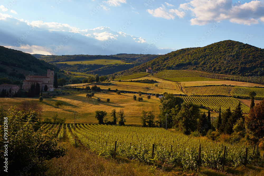 Tuscany vineyards in fall