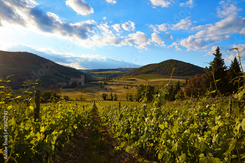 Tuscany vineyards in fall