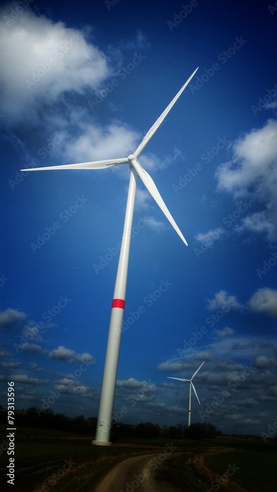 Fototapeta premium Windpark