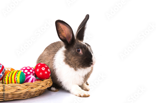Rabbit with Easter eggs isolated on white background