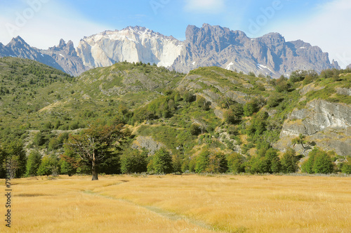 Landscape of Patagonia. Torres del Paine National patk. photo