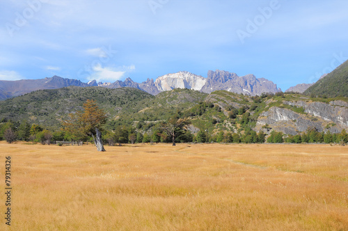 Landscape of Patagonia. Torres del Paine National patk. photo