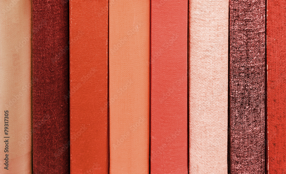Fototapeta premium Neutral books in bookshelf