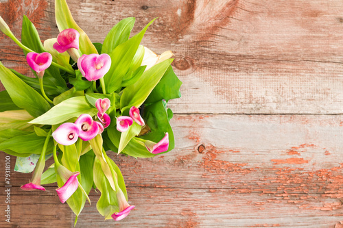 Fototapeta Naklejka Na Ścianę i Meble -  Fresh Calla Lilies on Table with Copy Space