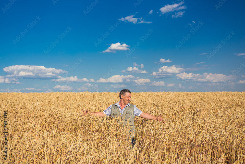 farmer standing in a wheat field farmer standing in a wheat field
