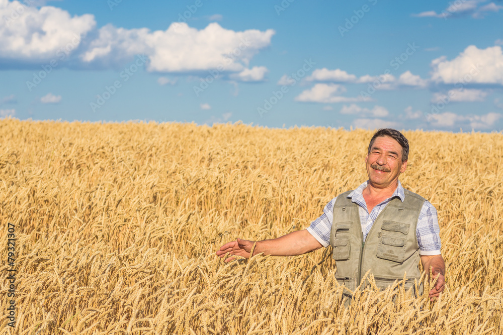 farmer standing in a wheat field farmer standing in a wheat field