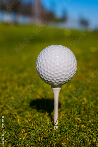Golf ball sits on a wooden tee