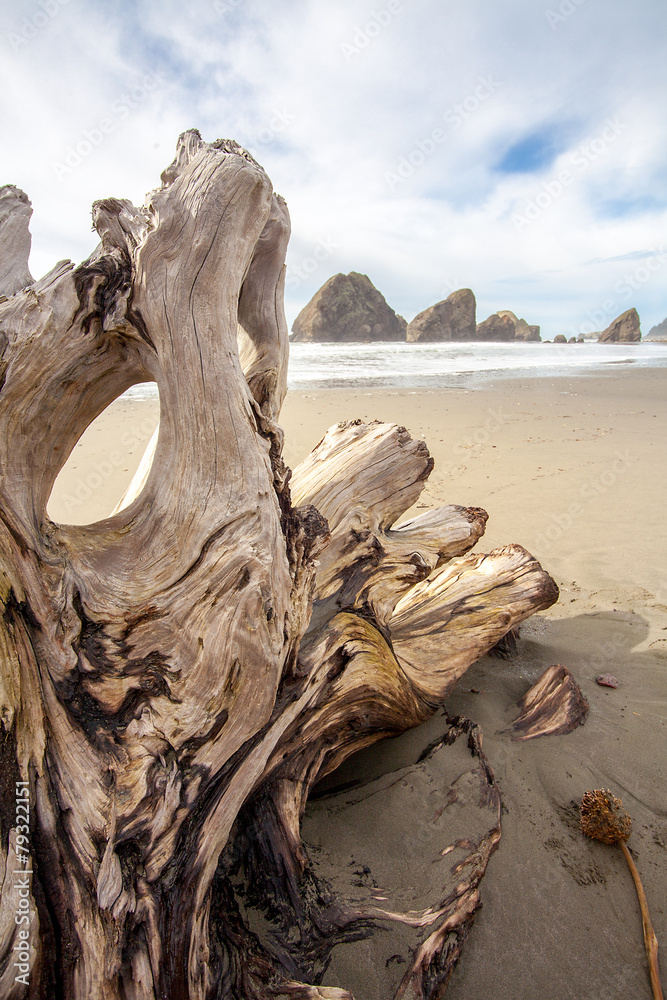 Sea Stacks und Treibholz an der Pazifikküste von Oregon