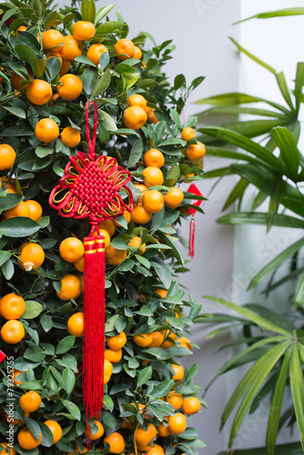 Chinese knot on a orange tree