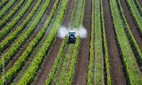 Traktor sprueht Pestizide im Weingarten
