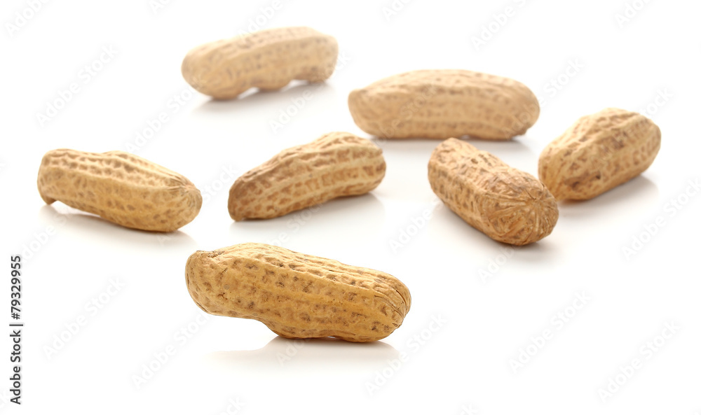 Dried Peanuts Isolated on a white background Dried Peanuts Isolated on a white background