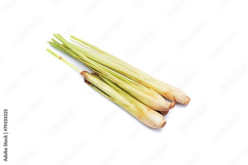 lemongrass isolated on a white background lemongrass isolated on a white background