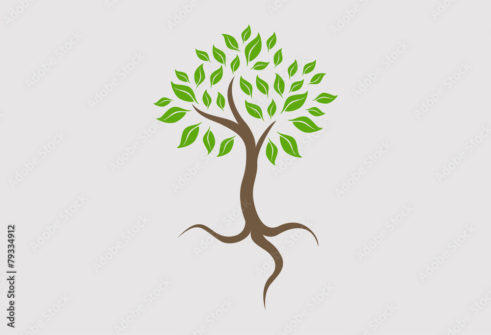 Obraz premium Tree logo vector