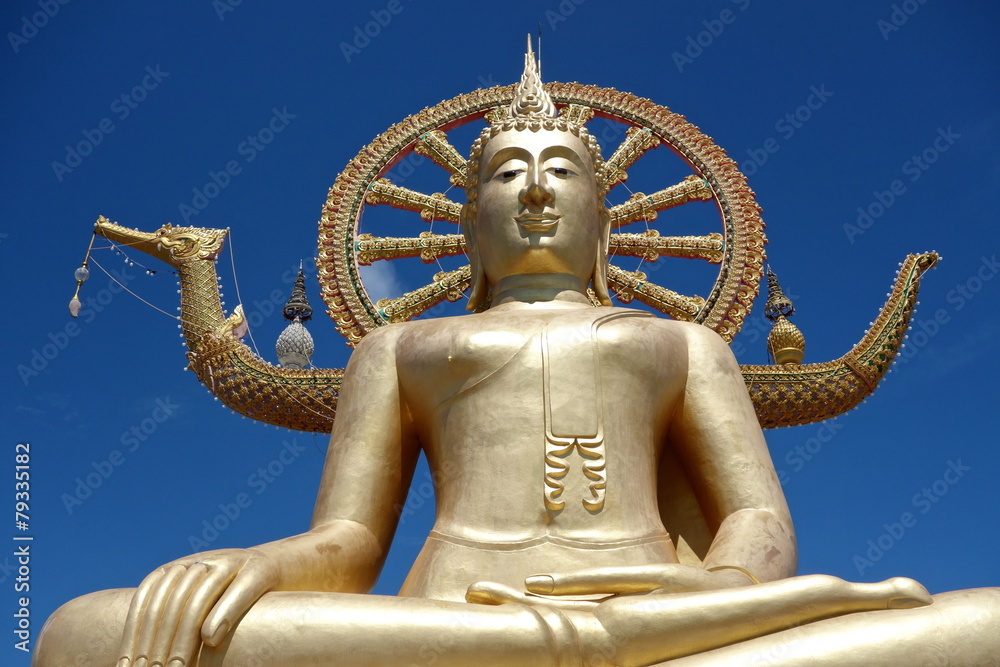 Fototapeta premium Big Buddha