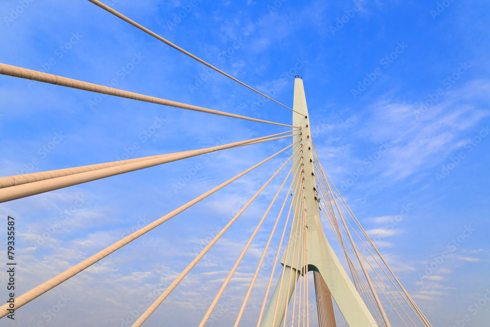 Obraz premium Suspension bridge