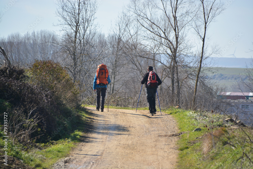 dos peregrinos caminando por el campo