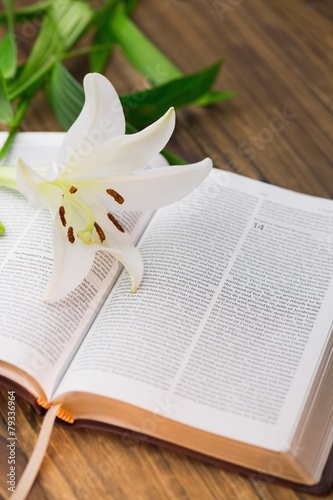 Fototapeta Naklejka Na Ścianę i Meble -  Lily flower resting on open bible