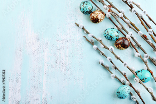 Bird colorful eggs in nest and pussy willow branches