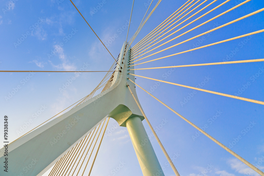 Suspension bridge Suspension bridge