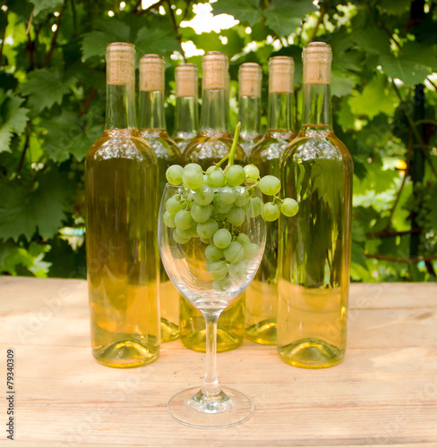 Vine Glass with Grapevine photo