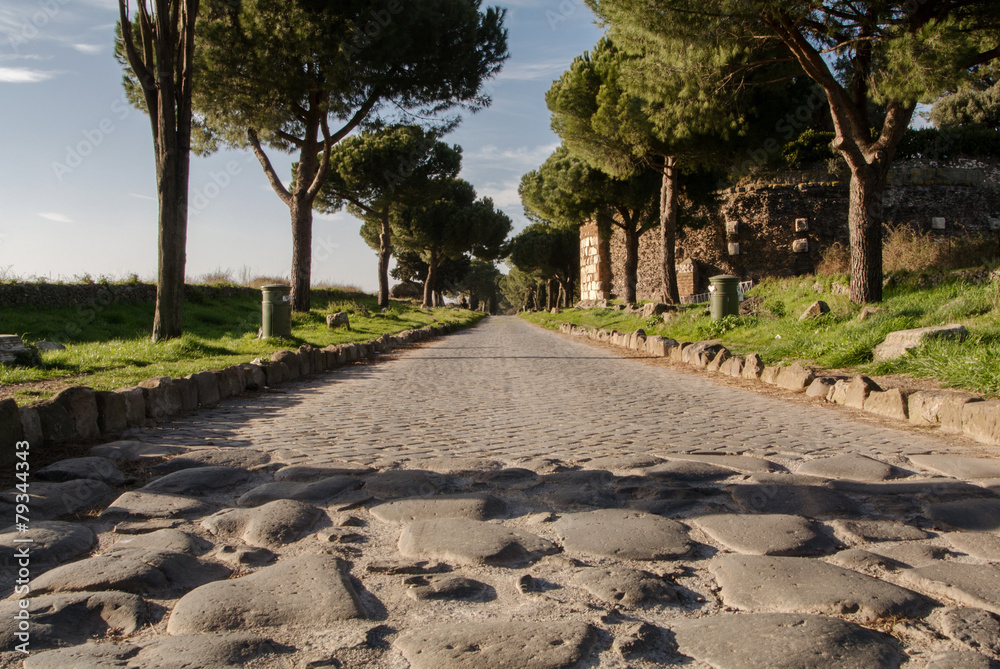 Fototapeta premium Appia Antica Street in Rome