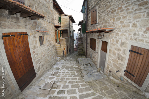 Borghi dell'anno mille,Casentino