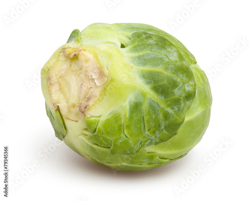 brussel sprouts photo