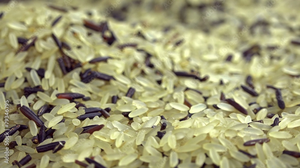 Portion of rotating mixed Rice (not seamless loopable) Portion of rotating mixed Rice (not seamless loopable)