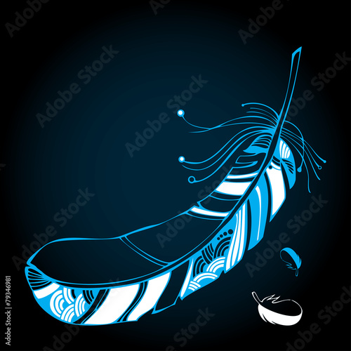 Нand drawn decorative feather on the dark blue background
