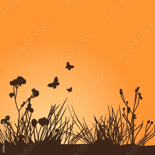 silhouettes of butterflies and plants on a orange background