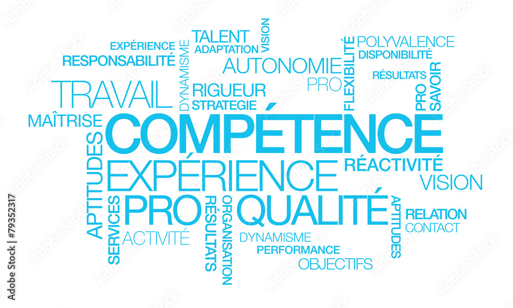 Compétence expérience professionnelle emploi nuage de mots Compétence expérience professionnelle emploi nuage de mots