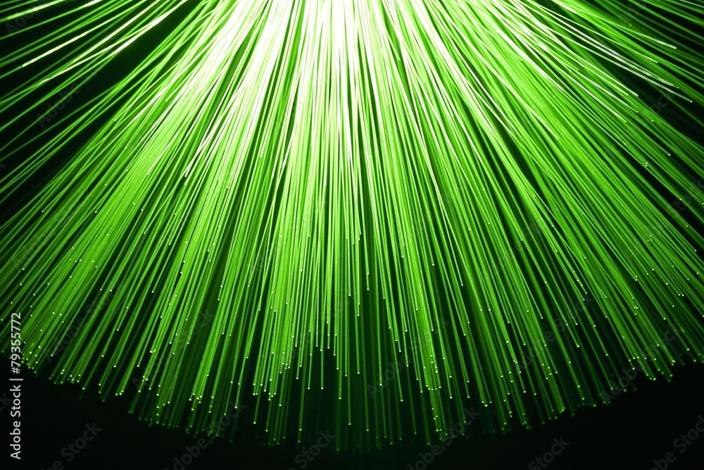 Obraz premium Lichtleiter