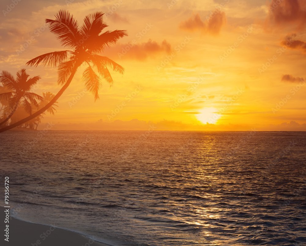 Art palm trees silhouette on sunset tropical beach