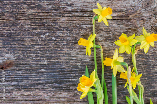 Fototapeta Naklejka Na Ścianę i Meble -  daffodils on wooden background