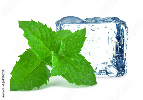 Фотография cube ice and mint