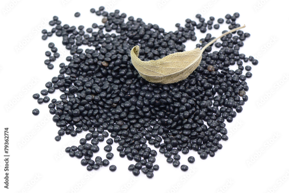 Linsen StockFoto Adobe Stock