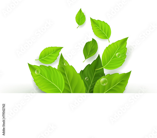 Realistic Leaves Background with White Space